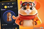 چرا همستر ۲ میلیون کاربر را مسدود کرد؟!