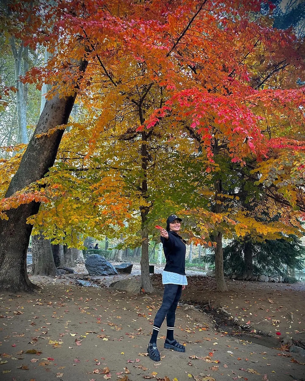 عکس | الناز شاکردوست با این عکس‌های پاییزی دلبری کرد!