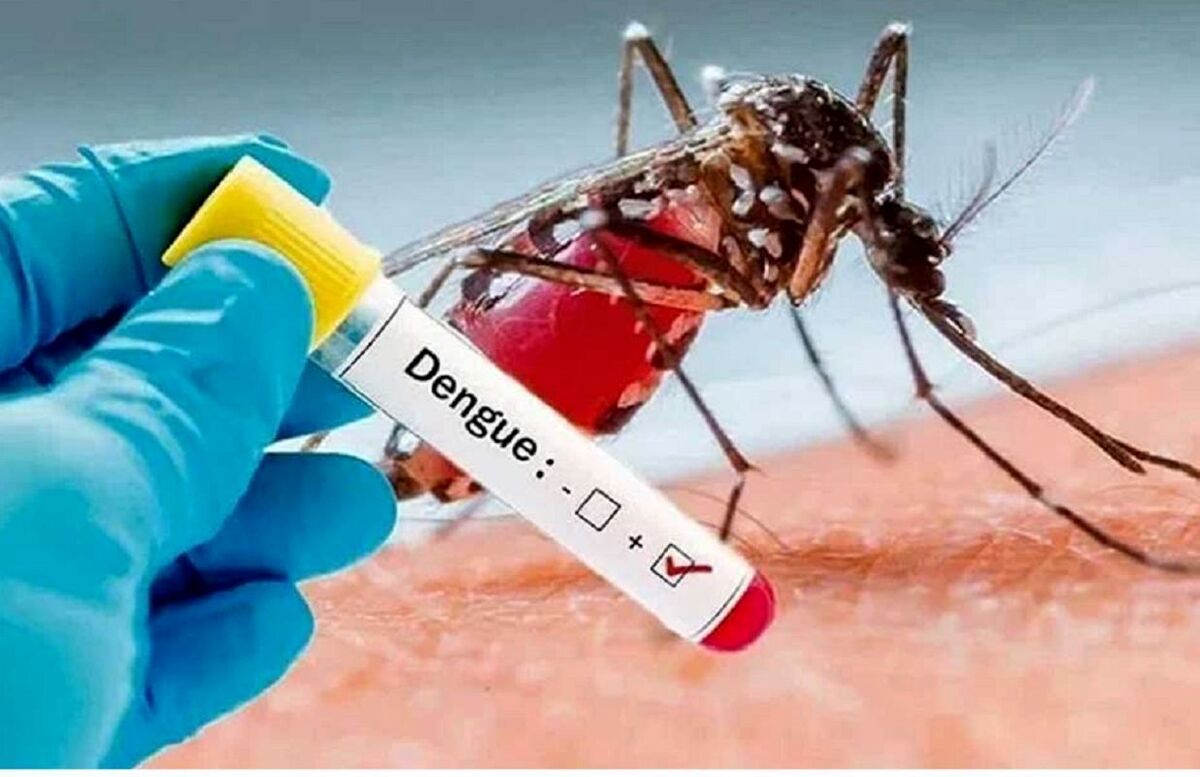 هشدار | مرگ و میر پشه آئدس چند برابر کروناست | ورود پشه آلوده آئدس به کشور
