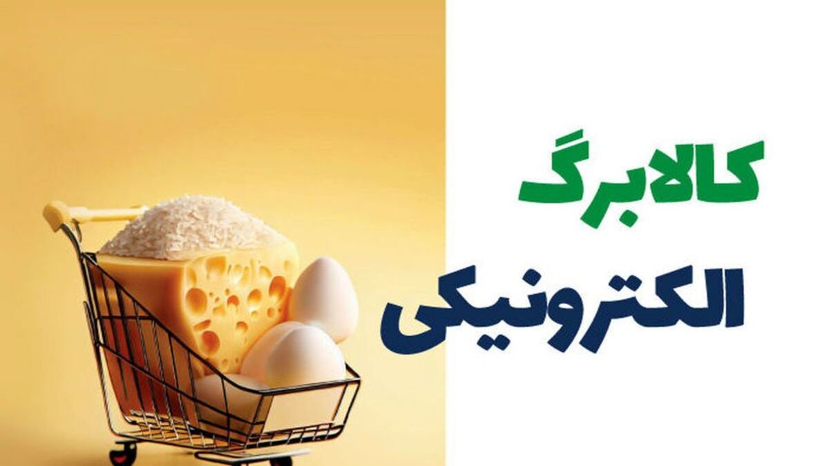 خبر فوری | اجرای مرحله دوم طرح کالابرگ در نوروز