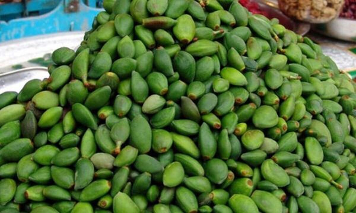 مراقب باشید! مسمومیت با چغاله در کمین است