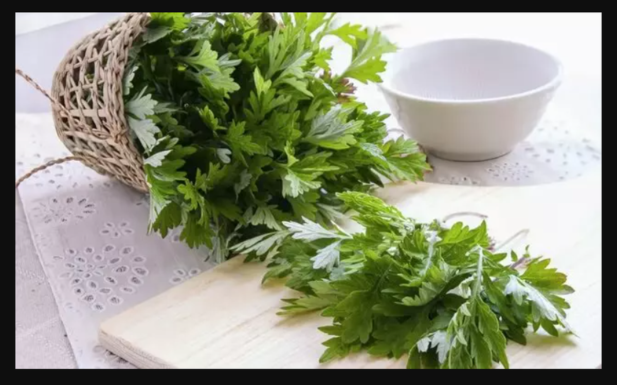 دشمن گیاهیِ سرطان روده بزرگ کشف شد