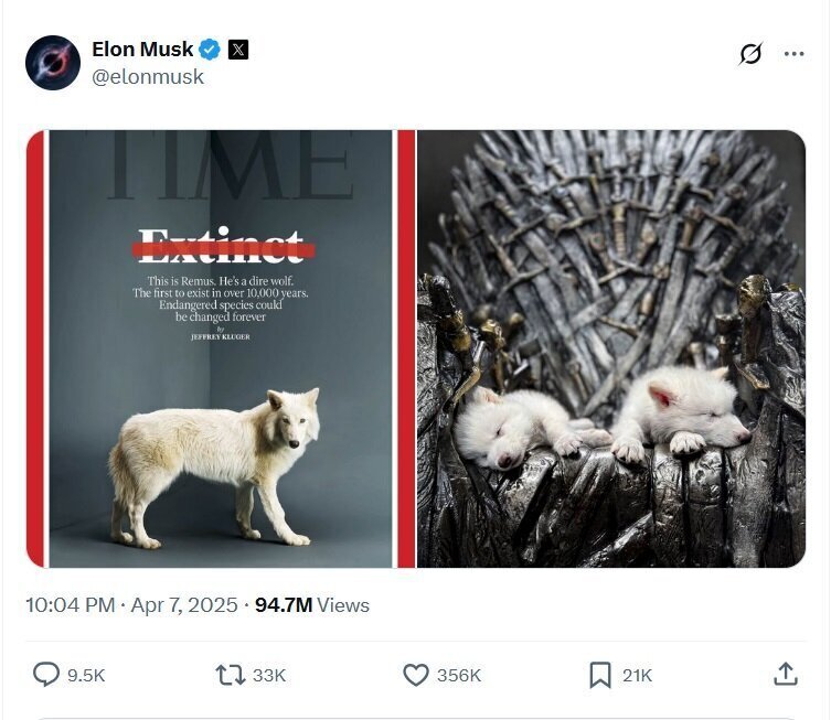 باورکردنی نیست! حیوان خانگی عجیب ایلان ماسک چیست؟!