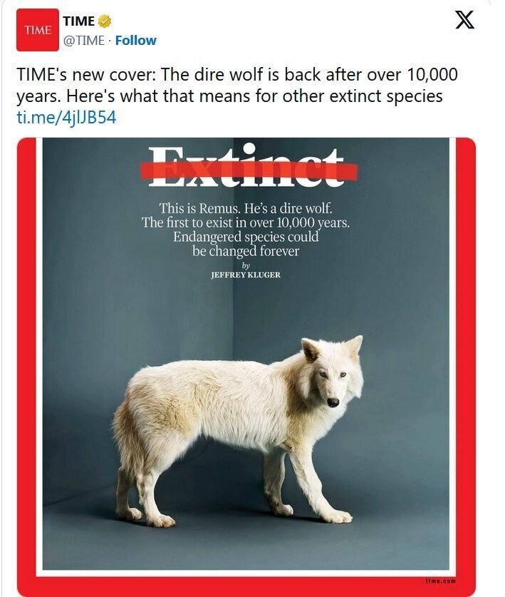 باورکردنی نیست! حیوان خانگی عجیب ایلان ماسک چیست؟!