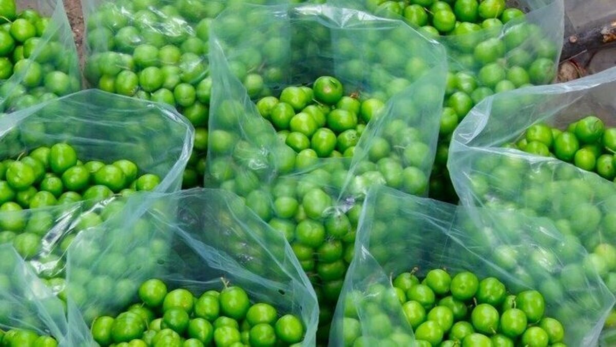 قیمت میوه محبوب بهاری میلیونی شد