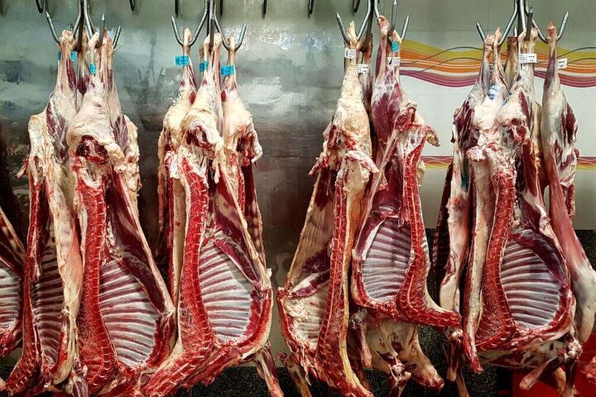 گوشت قرمز چند؟ امروز دوشنبه ۲۵ فروردین ۱۴۰۴