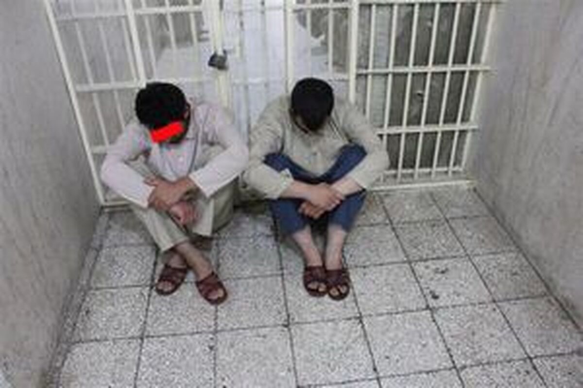 سرقت از جگرکی در تهران جنجال به پا کرد!