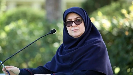 توضیح سخنگوی دولت درباره اقدامات کمیته حقیقت‌یاب حوادث دی‌ماه