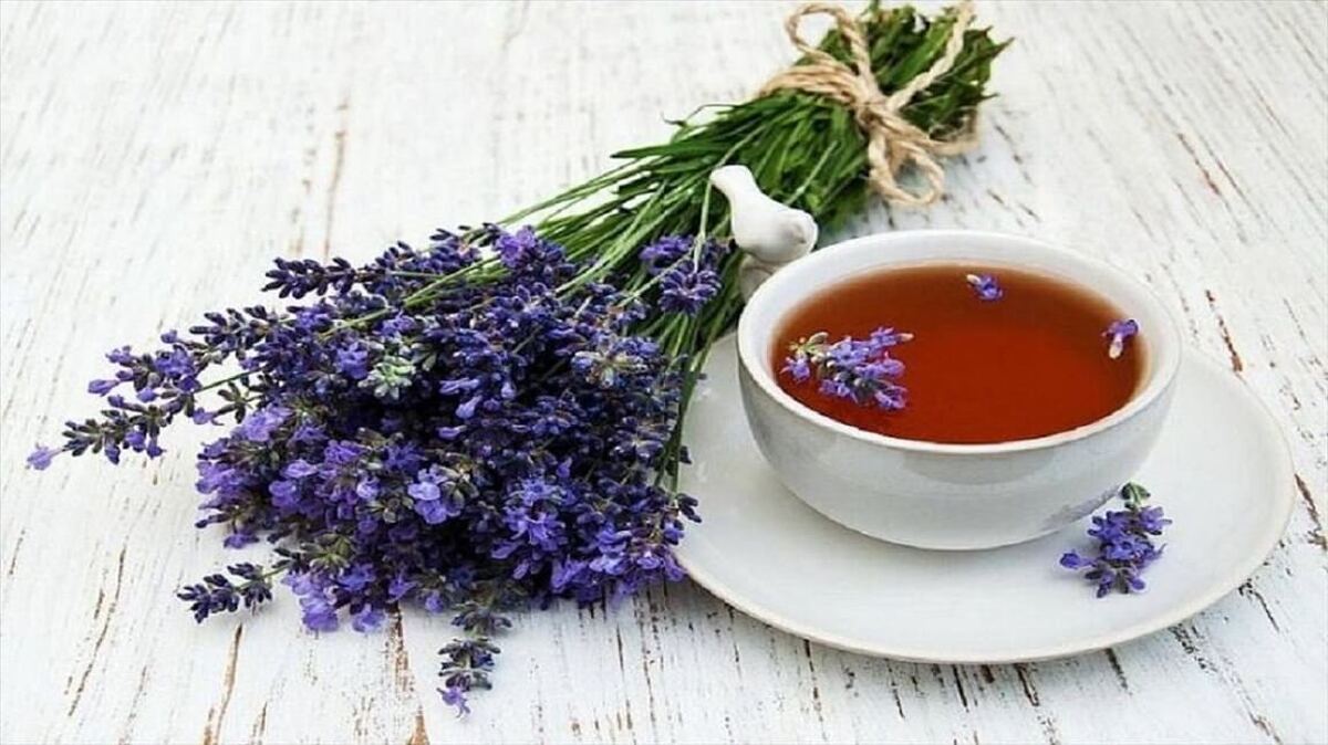 خواص درمانی گل گاوزبان