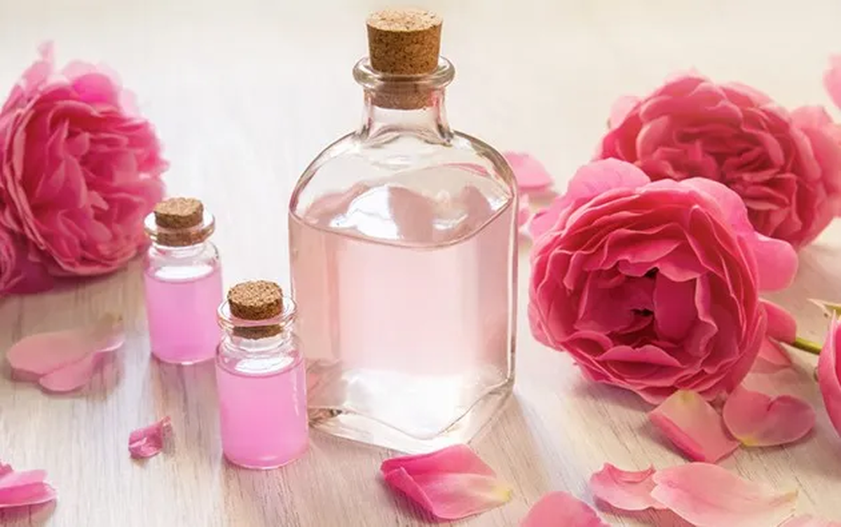 خوردن گلاب ناشتا چه خاصیتی برای قلب و گوارش دارد؟
