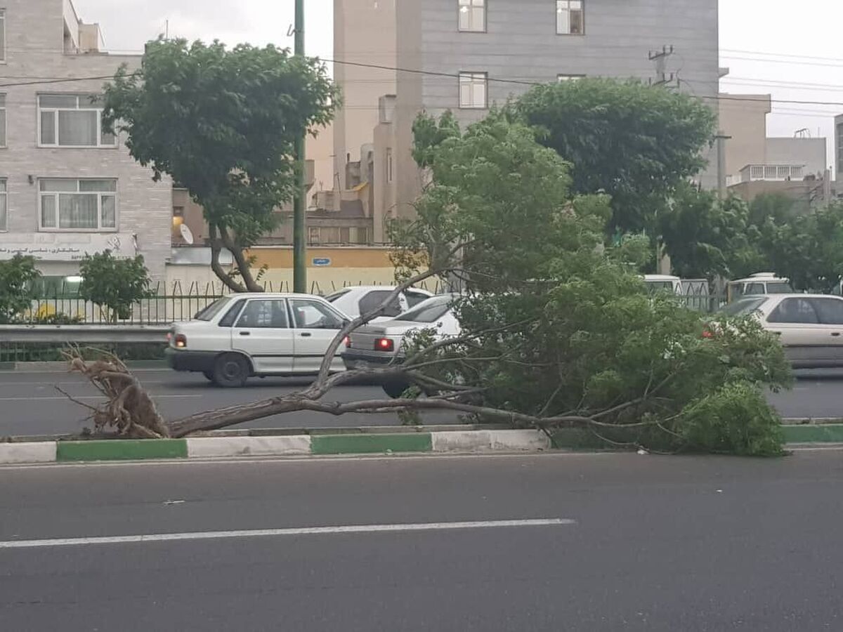 مصدومیت ۷ نفر در اثر طوفان شب گذشته تهران