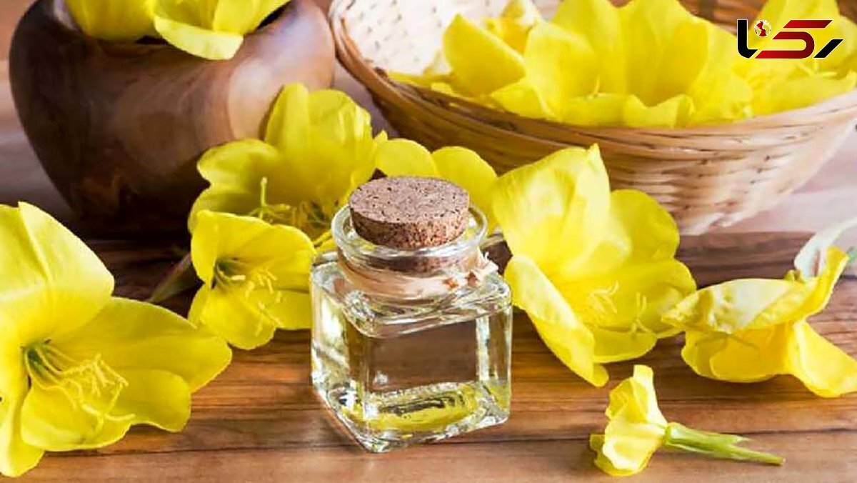 روغن گل مغربی چه خاصیتی دارد؟