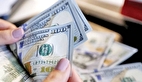 جدیدترین قیمت دلار بازار آزاد امروز پنجشنبه ۱۸ اردیبهشت ۱۴۰۴ + جدول