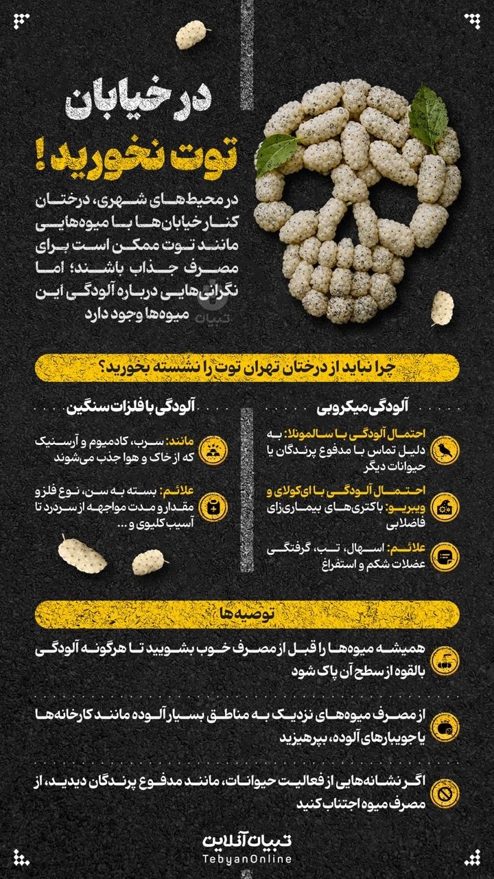 هرگز در خیابان توت نخورید! + اینفوگرافیک