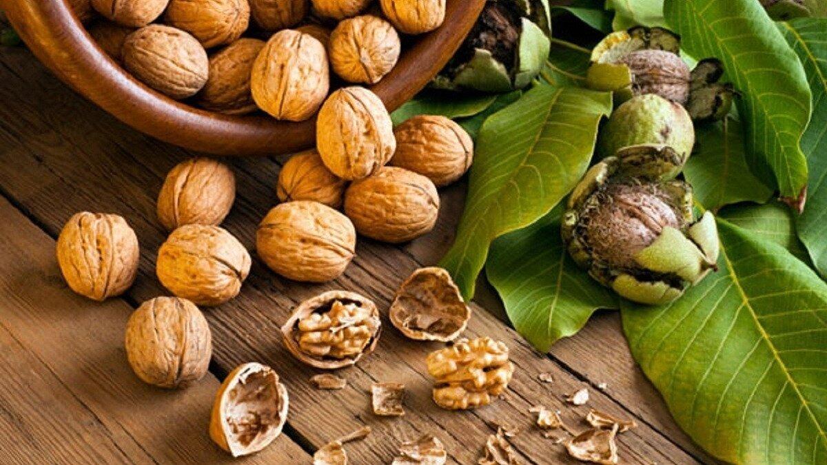 خوردن گردو ابتلا به این سرطان را کم می‌کند