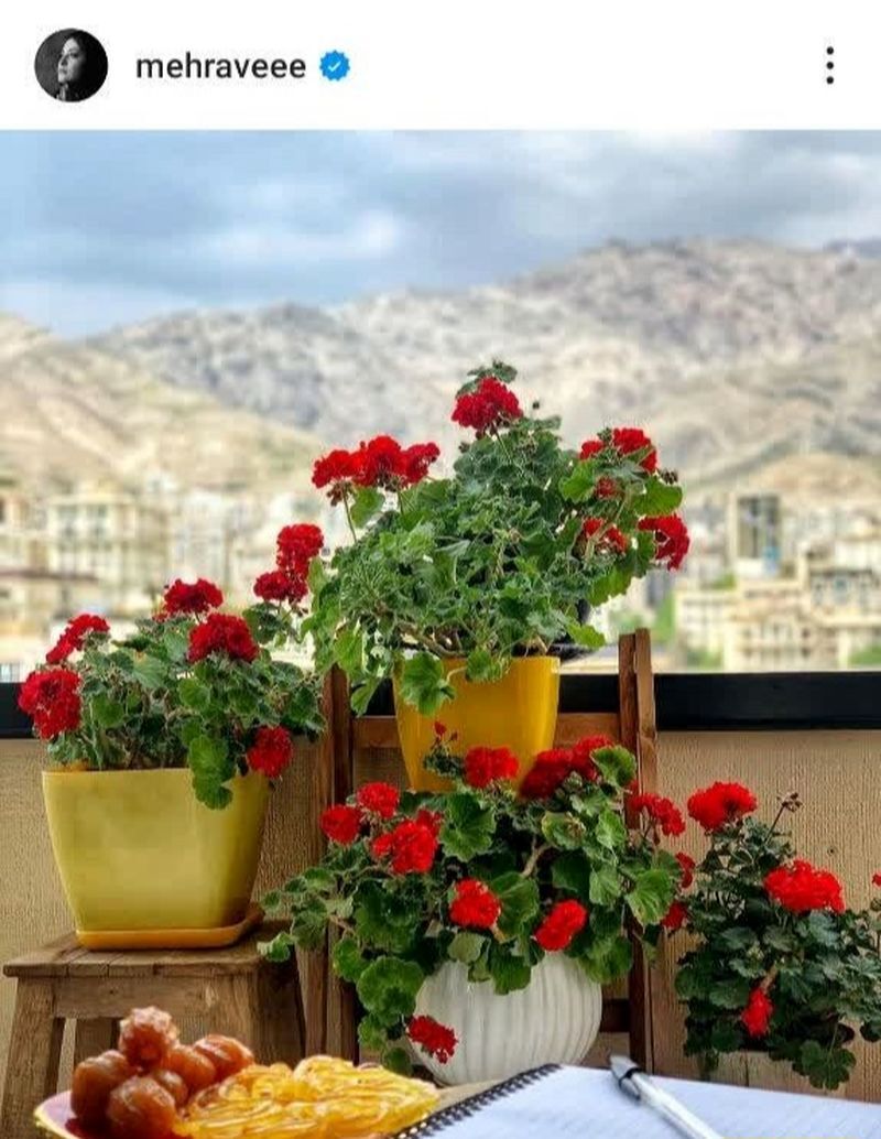 عکس | مدیتیشن خاص مهراوه شریفی‌نیا در خانه‌اش