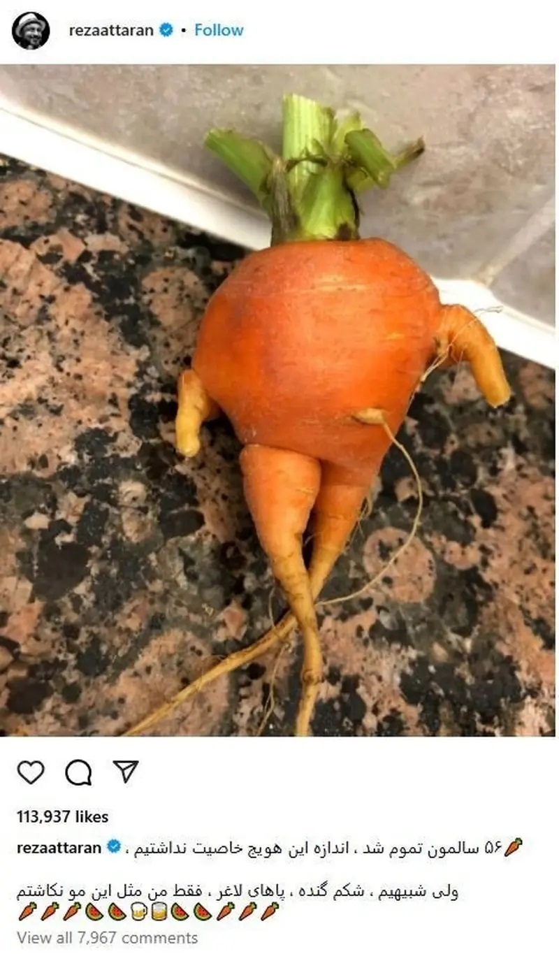 شوخی جالب با رضا عطاران در تولدش | مقایسه با هویج! شوخی جالب با رضا عطاران در تولدش | مقایسه با هویج!