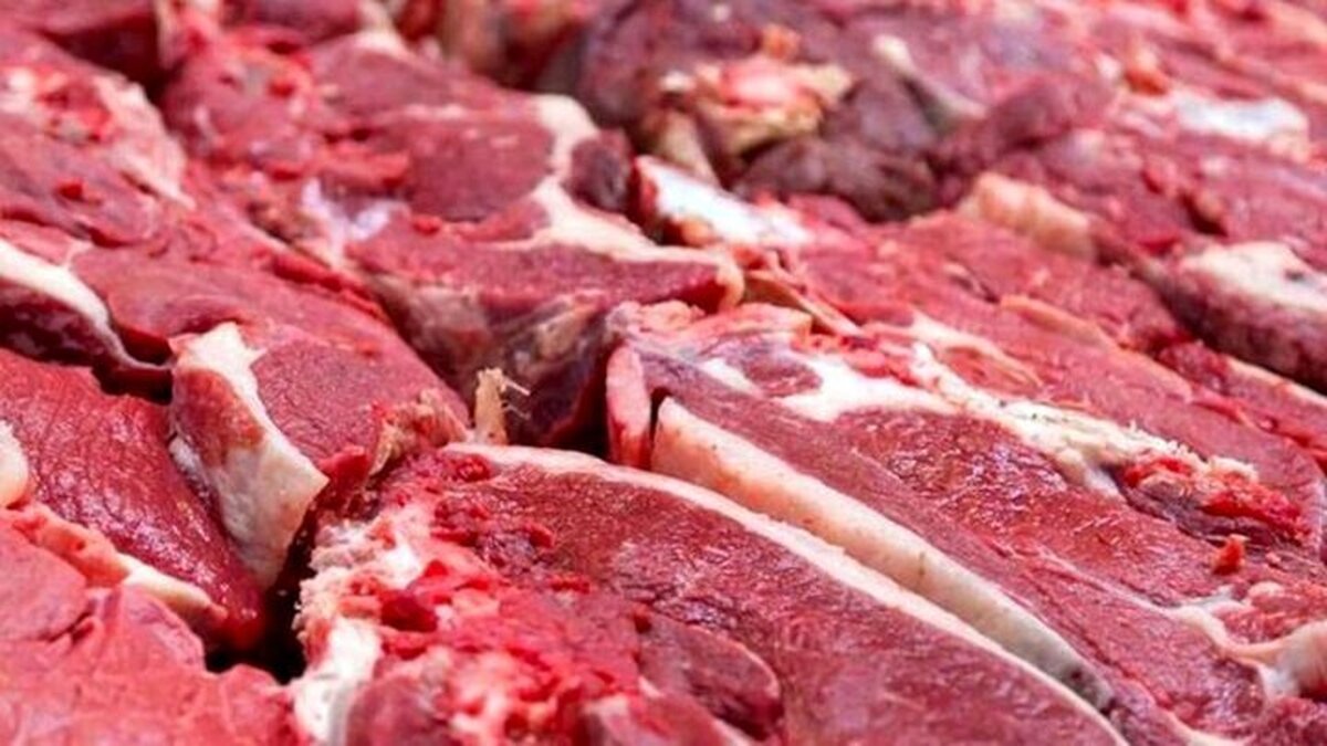 گوشت گوسفندی چند؟ امروز دوشنبه ۲۲ اردیبهشت ۱۴۰۴