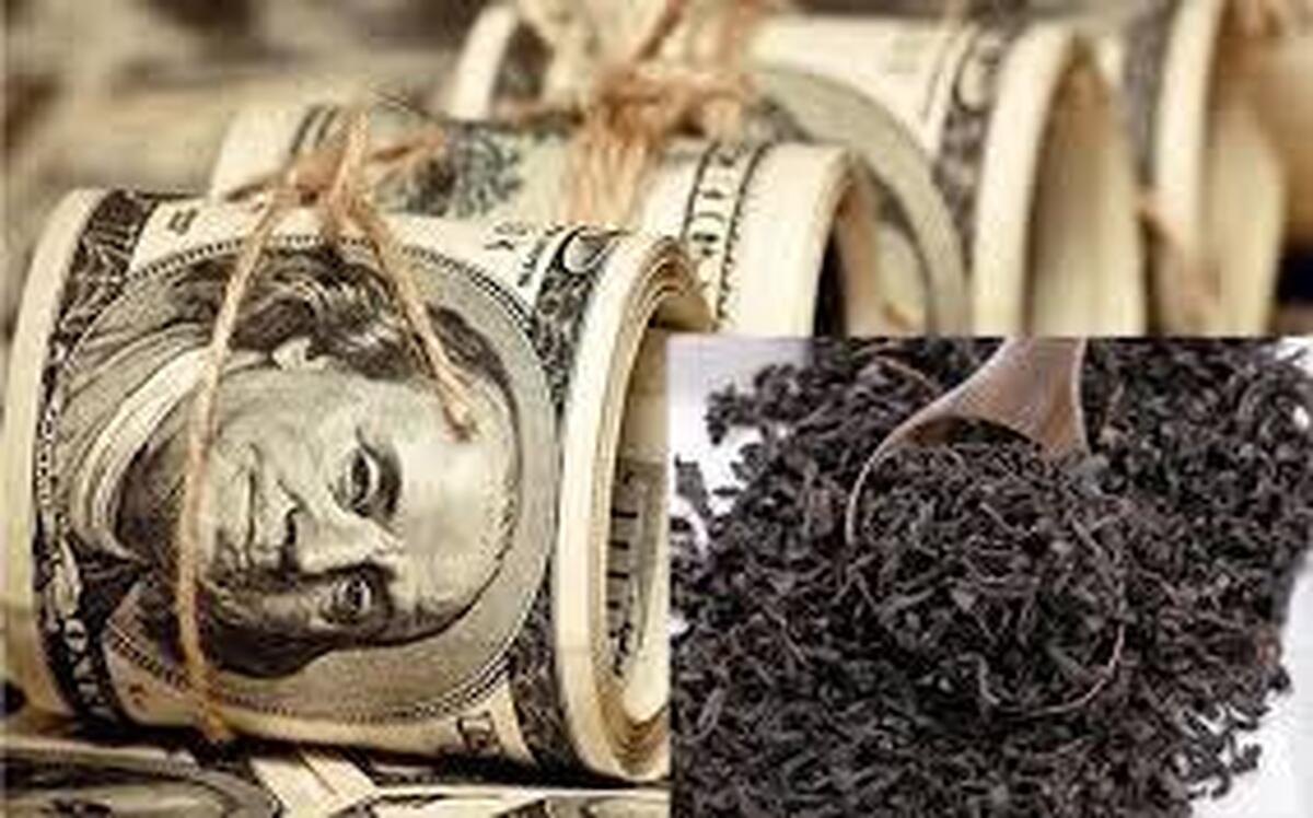 ویدئو | پرونده چای دبش به کجا رسید؟