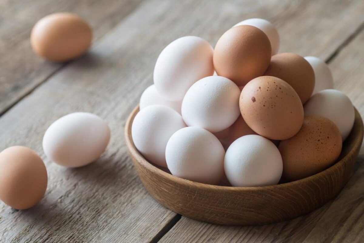 قیمت جدید تخم مرغ امروز ۲۸ اردیبهشت اعلام شد
