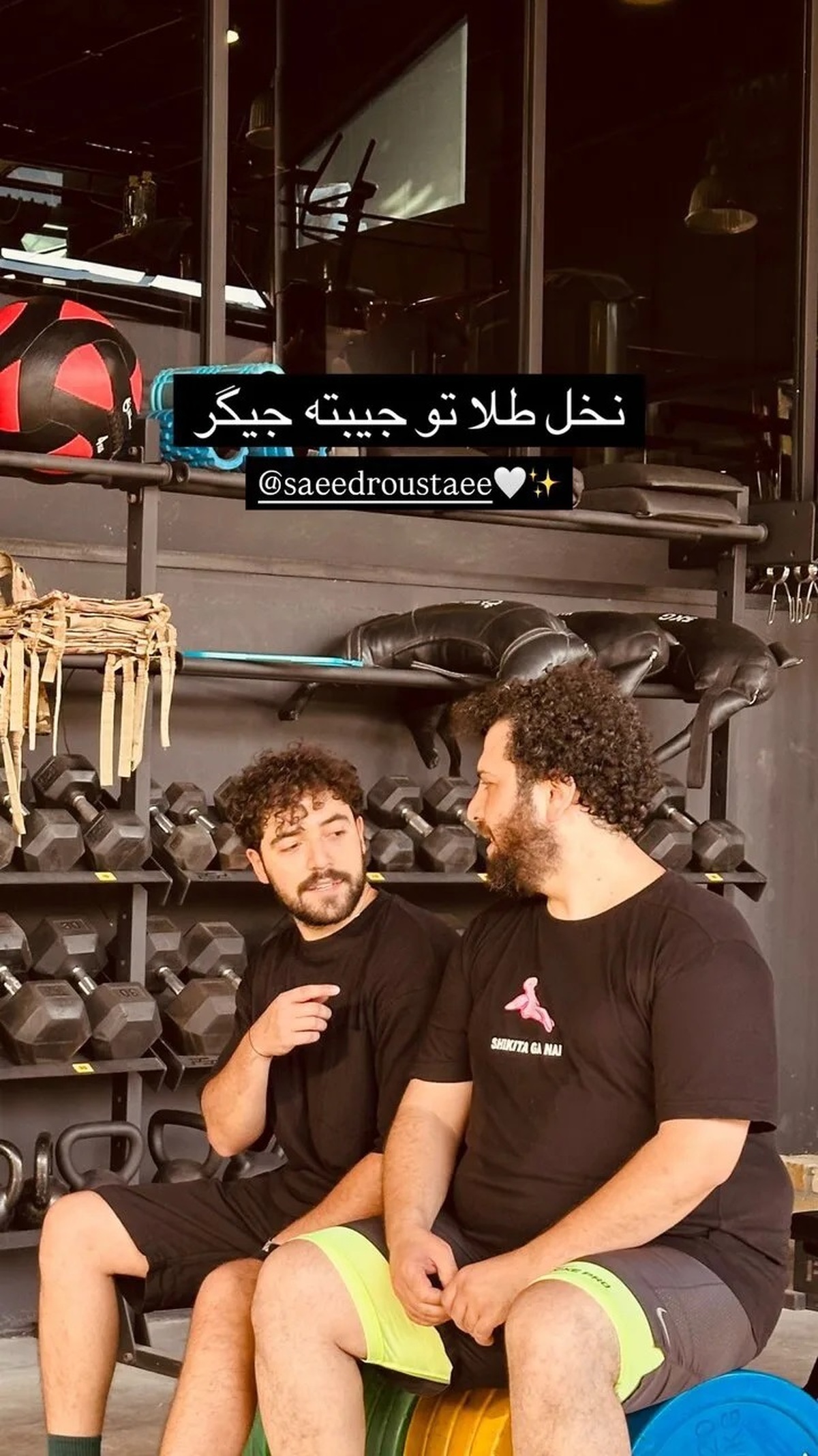 شروین حاجی پور به سعید روستایی جایزه نخل طلا داد!