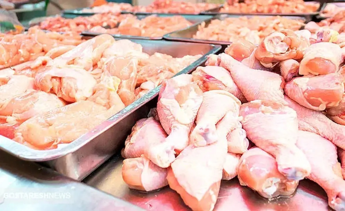 گوشت مرغ چند؟ امروز دوشنبه ۵ خرداد ۱۴۰۴