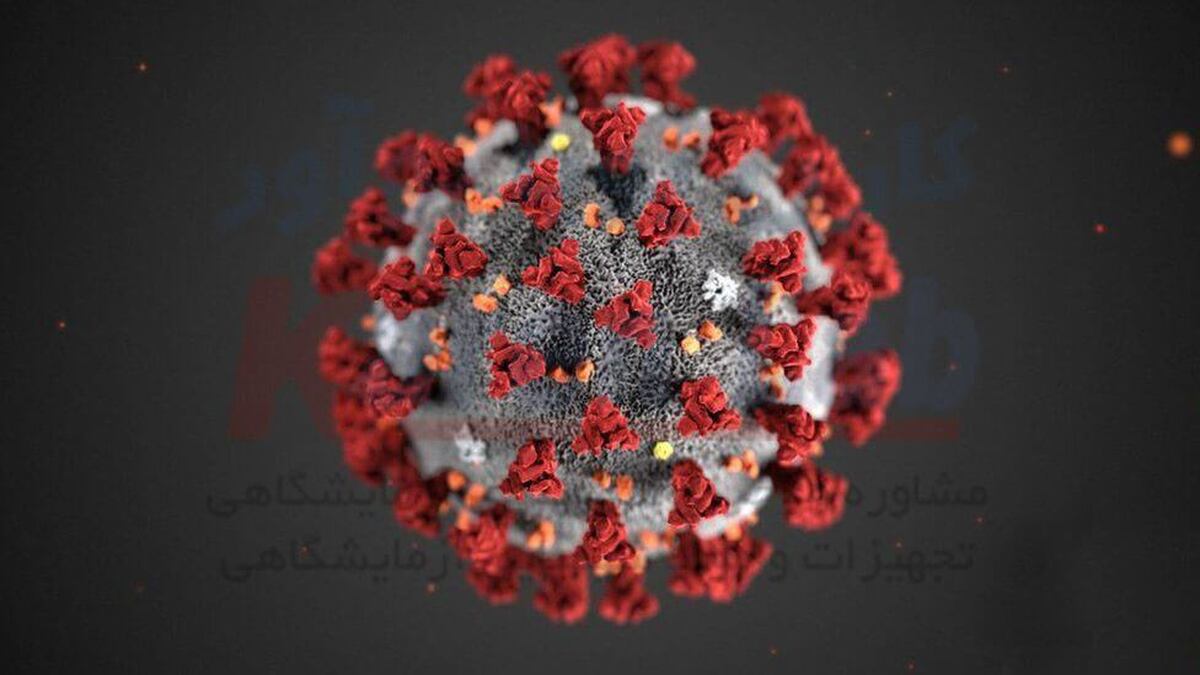 آخرین وضعیت کرونا در کشور | بروز پیک جدید در ۲ تا ۳ هفته آینده
