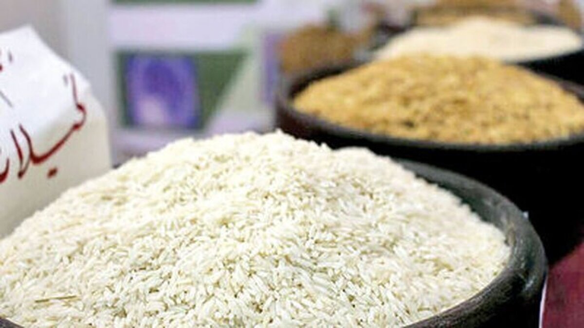 قیمت برنج باز هم بالا می‌رود؟!