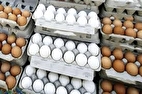 گرما قیمت تخم مرغ را کاهش داد