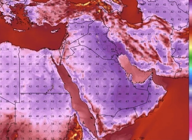هشدار نسبت به گرمازدگی و آتشسوزی جنگلها | صدور هشدار زر رنگ برای تهران هشدار نسبت به گرمازدگی و آتشسوزی جنگلها | صدور هشدار زر رنگ برای تهران
