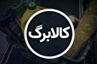 خبر فوری | اعلام زمان واریز اعتبار کالابرگ دهک‌های ۴ تا ۷