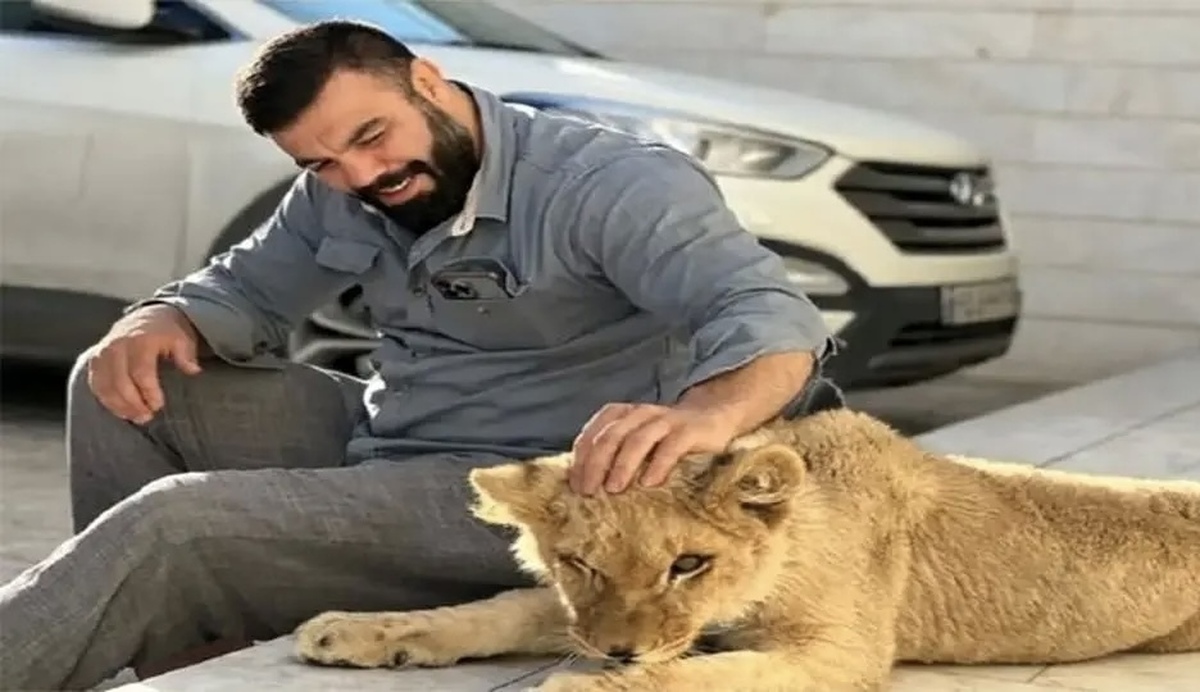 دلیل مرگ شیر باغ وحش ارم چه بود؟