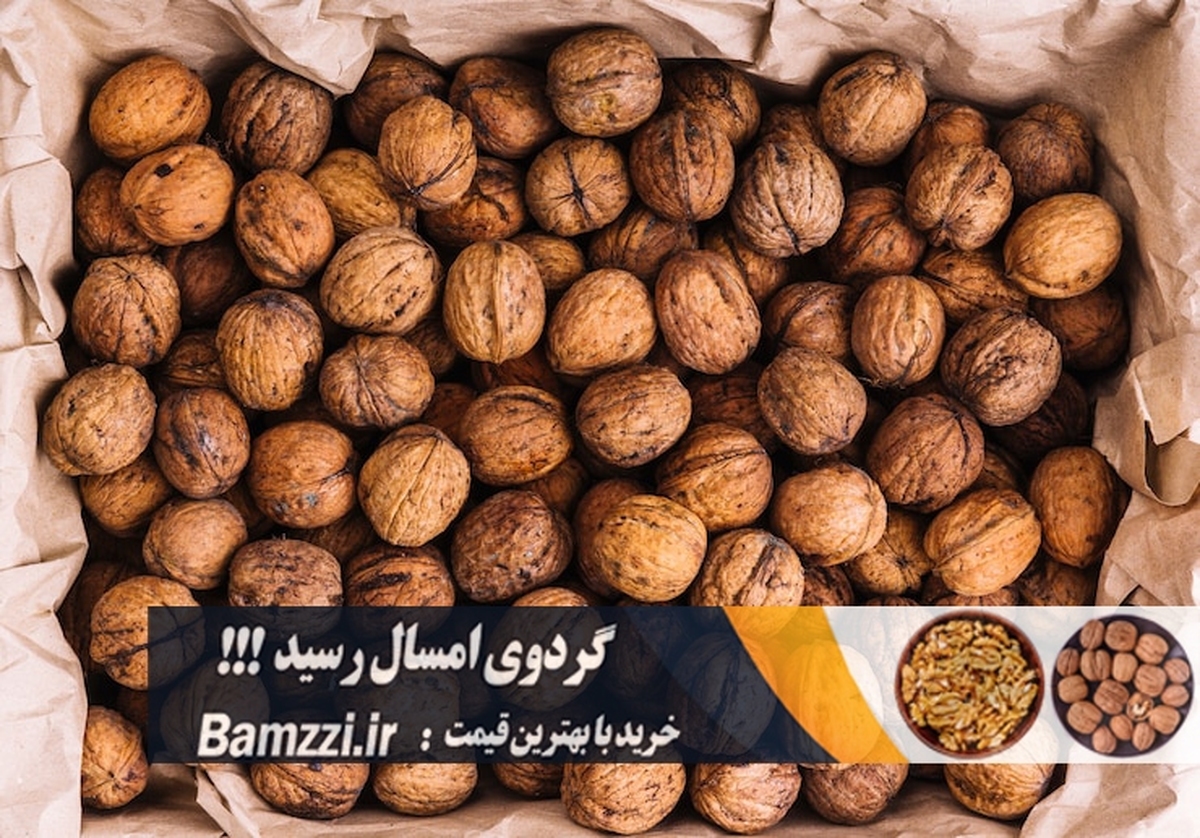 قیمت گردو تویسرکان در سال 1404 چقدر است؟