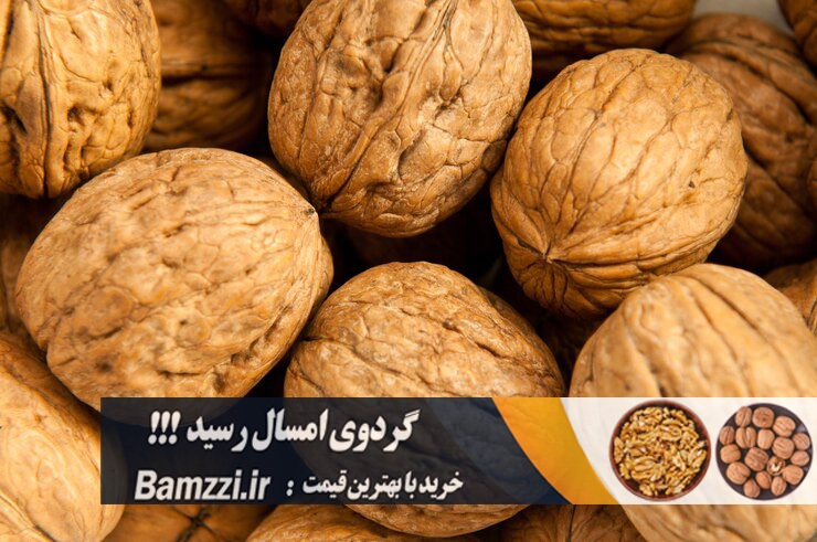 قیمت گردو تویسرکان در سال 1404 چقدر است؟ قیمت گردو تویسرکان در سال 1404 چقدر است؟