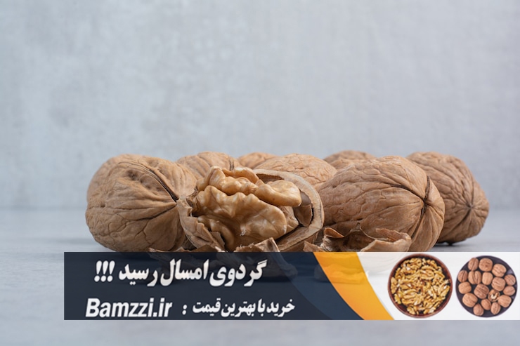 قیمت گردو تویسرکان در سال 1404 چقدر است؟ قیمت گردو تویسرکان در سال 1404 چقدر است؟