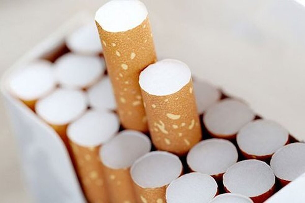 ۱۰ سال حبس برای اعضای یک باند قاچاق سیگار