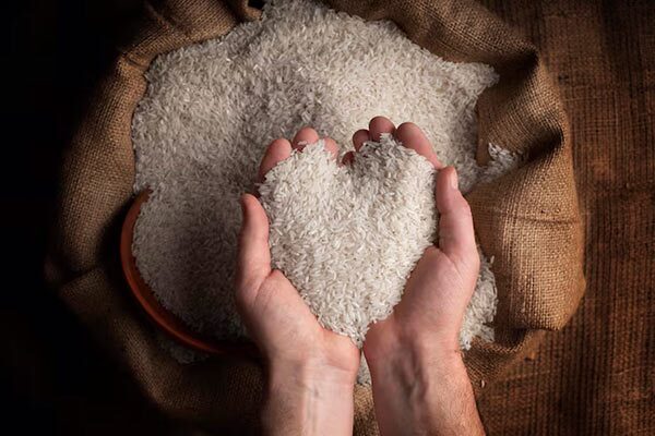 معرفی بهترین برنج ایرانی معرفی بهترین برنج ایرانی