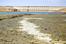 توضیحات سخنگوی دولت درباره تخلیه تهران + ویدیو