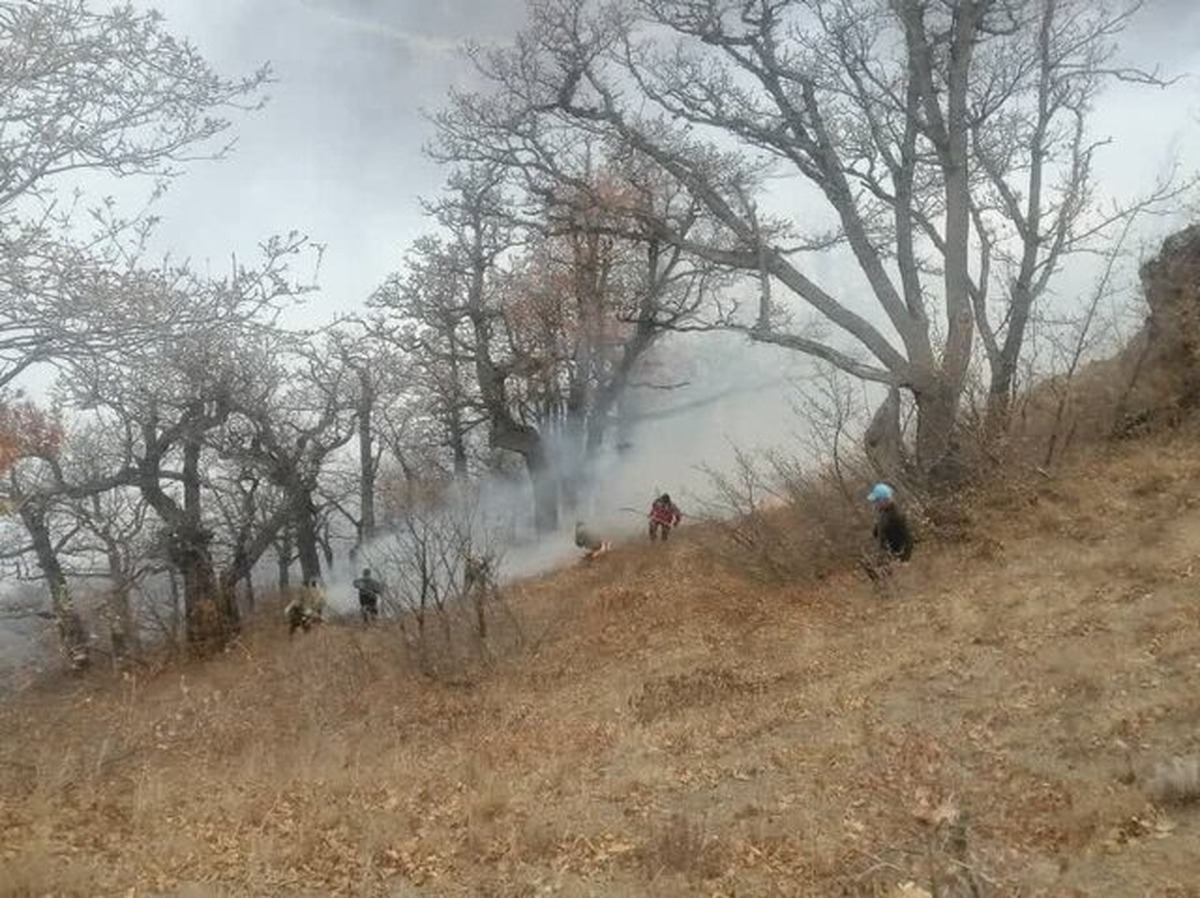 آخرین وضعیت آتش سوزی جنگل‌های الیت | ۲ فروند هواپیمای آبپاش ترکیه رسیدند