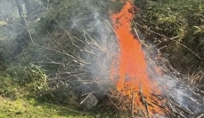 آتش‌افروز جنگل‌های هیرکانی دستگیر شد + ویدیو