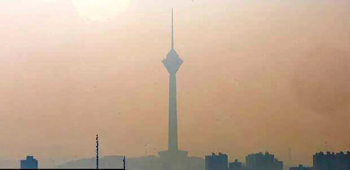 مصرف کدام غذا‌ها برای آلودگی هوا مناسب است؟