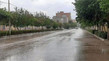 پیش بینی هواشناسی طی سه روز آینده/ رگبار و رعد و برق و وزش باد شدید در راه است