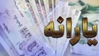 بررسی اعتراض ۵۰ هزار نفر از حذف‌شدگان | شرط بازگشت یارانه حذف‌شده‌ها
