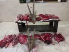 کشف لاشه دو راس کل وحشی در میامی | شکارچیان غیرمجاز بازداشت شدند