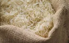 لیست قیمت برنج ایرانی در شهریور ۱۴۰۴ اعلام شد