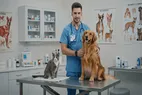 هزینه دامپزشک سیار چقدر است و چه عواملی بر آن تاثیر دارد؟