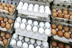 گرما قیمت تخم مرغ را کاهش داد