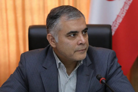 توضیحات سخنگوی دولت درباره استعفای وزیر نفت