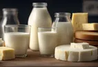 افزایش قیمت محصولات لبنی از ابتدای خردادماه